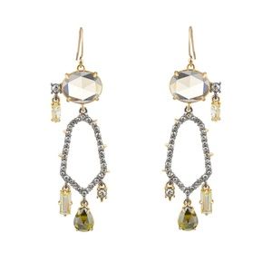 Crystal Encrusted Dangling Honeycomb Earring